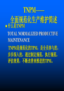 理光TNPM——全面规范化生产维护简述