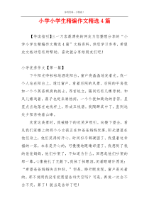 小学小学生精编作文精选4篇