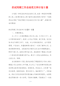 的试用期工作总结范文和计划5篇