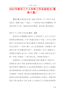 2023年新员工个人年终工作总结范文（最新5篇）