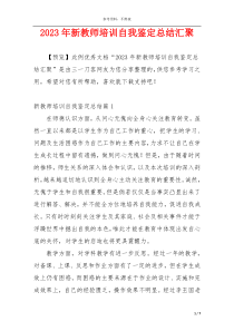 2023年新教师培训自我鉴定总结汇聚