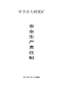2017年度安全生产责任制