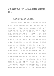 市财政局党组书记2023年抓基层党建述职报告