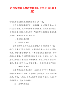 巡视反馈意见整改专题组织生活会【汇编4篇】