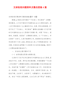 支部检视问题清单及整改措施4篇