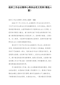 组织工作会议精神心得体会范文范例（精选4篇）
