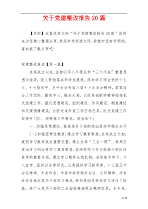 关于党建整改报告20篇