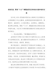 经验交流聚焦六力增强基层党支部政治功能和组织功能
