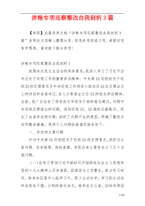 涉粮专项巡察整改自我剖析3篇