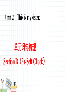 词句梳理Section B（3a-Self Check） (151)