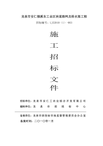 道路网及排水渠工程
