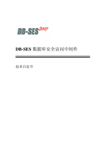 DB-SES数据库安全访问中间件