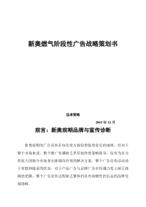 新奥燃气阶段性广告战略策划书