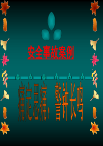XXXX安全事故案例