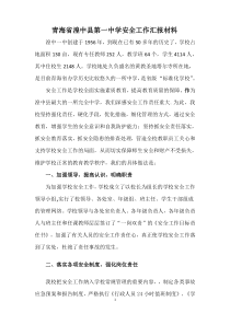 XXXX年安全工作汇报材料