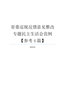 省委巡视反馈意见整改专题民主生活会范例【参考4篇】