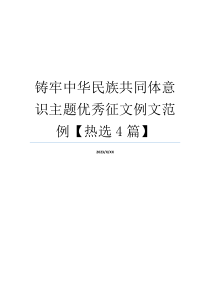 铸牢中华民族共同体意识主题优秀征文例文范例【热选4篇】