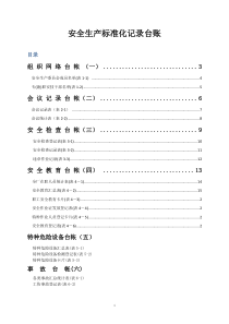 XX公司__安全生产标准化记录台账(十组)