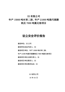 XX安全预评价送审稿