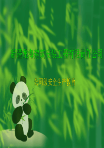 XX建筑安装工程有限责任公司-公司级安全生产教育(PPT 63页)