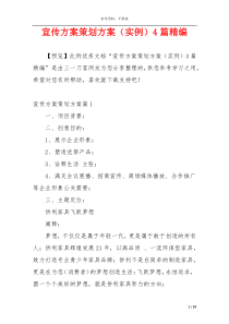 宣传方案策划方案（实例）4篇精编