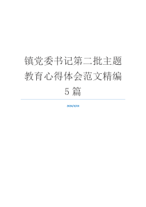 镇党委书记第二批主题教育心得体会范文精编5篇