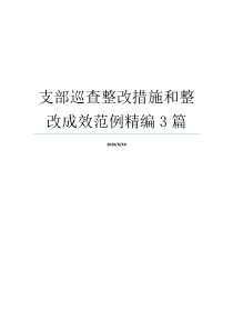 支部巡查整改措施和整改成效范例精编3篇