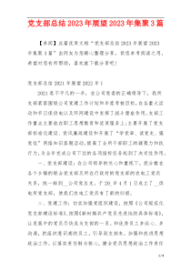党支部总结2023年展望2023年集聚3篇
