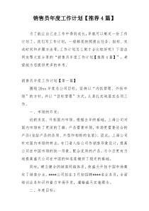销售员年度工作计划【推荐4篇】