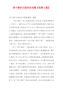 两个维护方面存在问题【范例4篇】