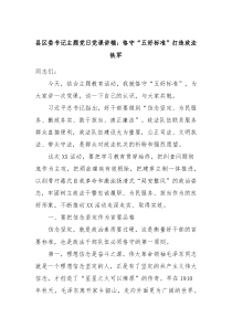 县区委书记主题党日党课讲稿恪守五好标准打造政法铁军