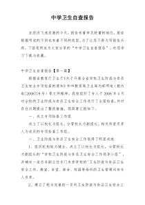 中学卫生自查报告