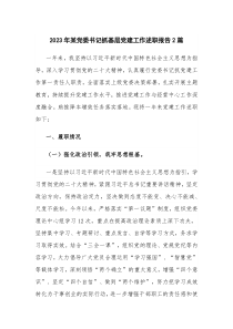 2023年某党委书记抓基层党建工作述职报告2篇