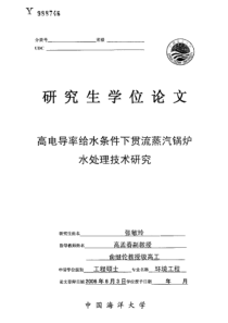 高电导率给水条件下贯流蒸汽锅炉水处理技术研究