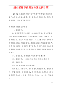 超市感恩节的策划方案实例3篇