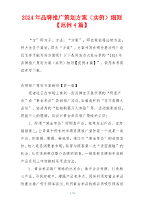 2024年品牌推广策划方案（实例）细则【范例4篇】