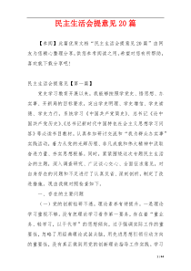 民主生活会提意见20篇