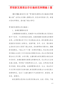 贯彻新发展理念存在偏差范例精编3篇