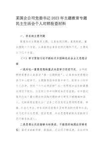 某国企公司党委书记2023年主题教育专题民主生活会个人对照检查材料