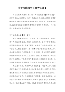 关于实践报告【参考5篇】