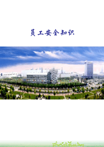 员工安全知识