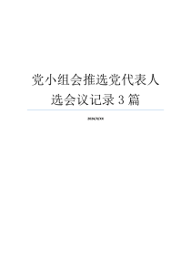 党小组会推选党代表人选会议记录3篇