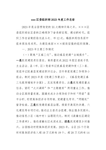 xxx区委组织部2023年度工作总结