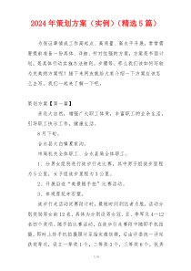 2024年策划方案（实例）（精选5篇）