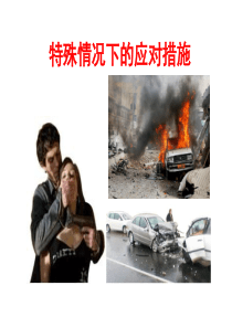 国外公共安全