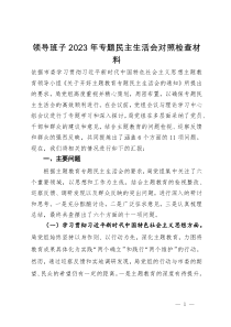 领导班子2023年专题民主生活会对照检查材料
