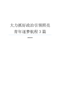 大力抓好政治引领照亮青年逐梦航程3篇