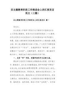在主题教育阶段工作推进会上的汇报发言范文（三篇）