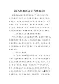 2023年度专题组织生活会个人对照检查材料
