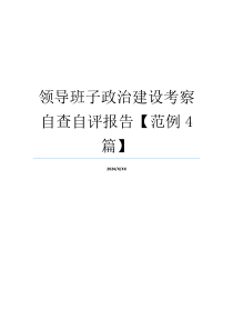 领导班子政治建设考察自查自评报告【范例4篇】